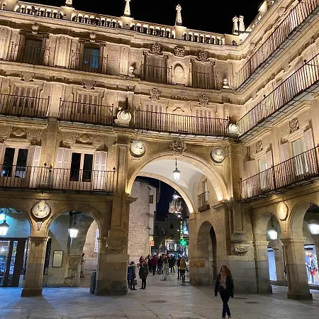 Centro Historico Junto A Casa De Conchas - Parking Gratis Διαμέρισμα Σαλαμάνκα